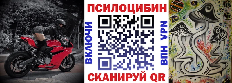 где можно купить наркотик  Староминская  Псилоцибиновые грибы мухоморы 